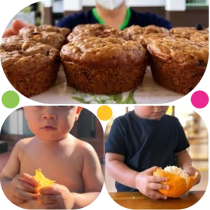 Alimentação